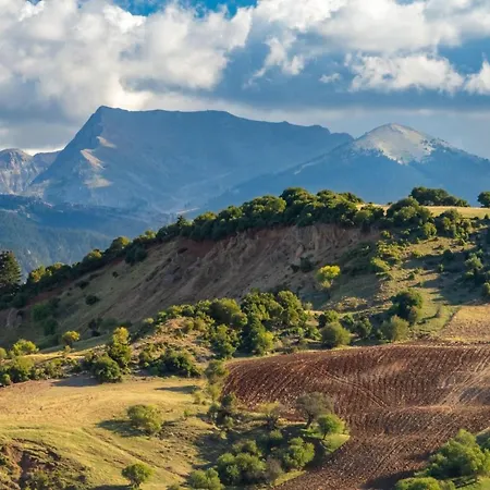 Yiannis' Maizonette - Happy 펜션